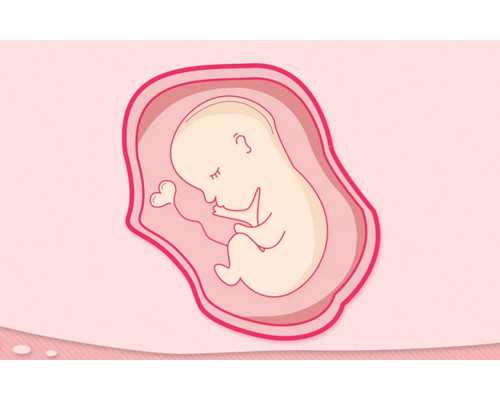 山东三代供卵试管医院排名,山东三代试管婴儿医院,山东最好的生殖医院