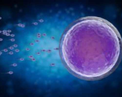 青岛代孕人能拿多少钱,试管婴儿植入母体后八天用试纸能查出是否怀孕了吗-上