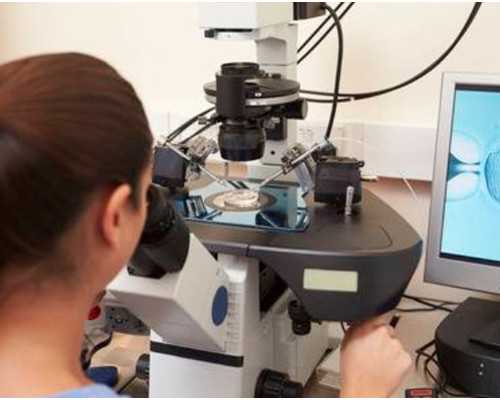 山东供卵代生孩子的多吗,山东助孕公司官网？山东试管婴儿医院大全？