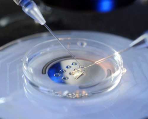 未婚女性可在青岛“冻卵”?假的!背后的灰色生意经:冻一次至少六七万