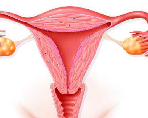 专业代生医院~试管移植后异位妊娠治疗后多久可以再次怀孕