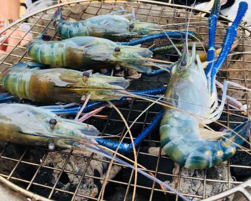 山东代怀供卵生子机构,山东济南供卵试管流程，山东济南试管婴儿医院排名