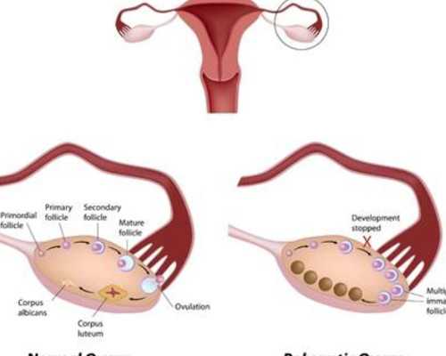 青岛做试管代孕成功率怎么,为什么有人说千万别去青岛妇幼做第三代试管