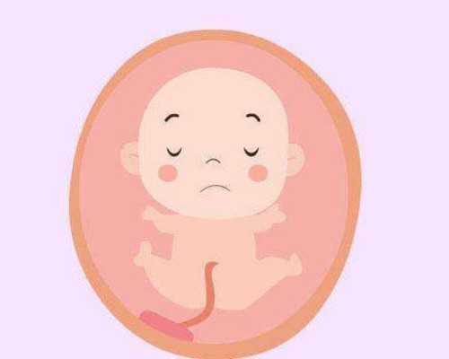 青岛代孕是夫妻的孩子吗,青岛供卵试管医院高龄供卵活产率？通水回来，那种