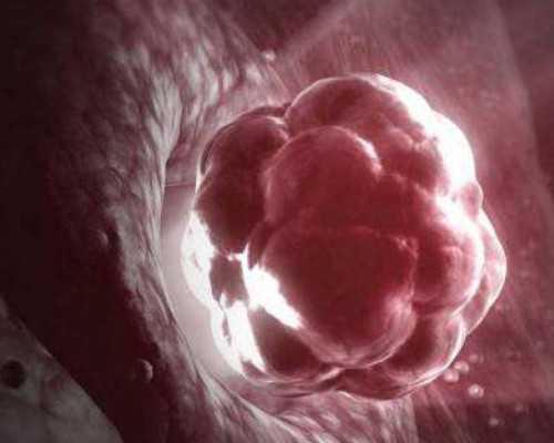 山东供卵试管中介多少钱,山东三代试管婴儿费用明细,山东济南试管婴儿费用