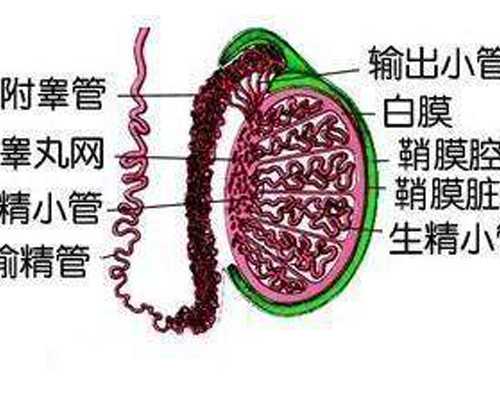 青岛代孕医院什么价格,青岛第三代试管婴儿多少钱，成功率会影响费用高低?