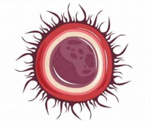 青岛2026年代孕服务,2026
试管助孕详细：青岛妇幼三代试管大概多少钱？