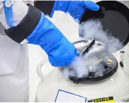 青岛最专业的代孕公司,高龄夫妻试管注意事项 北京试管婴儿医院哪家好_山东省