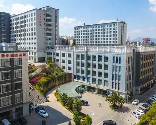 台湾试管婴儿技术是否合法：探讨供卵服务的相关法规及伦理问题