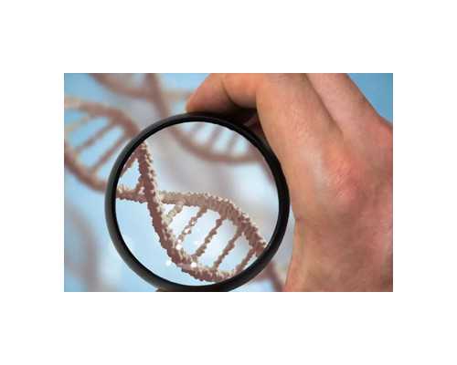 山东能做供卵试管婴儿医院,山东助孕公司官网？，山东哪个公立三甲医院可以