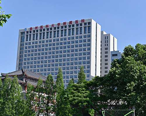 青岛代孕中介有几家,唐山妇幼做试管怎么样(青岛妇幼做试管怎么样)