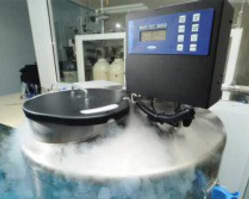 青岛代孕选男女费用,【青岛供卵助孕机构二胎供卵试管婴儿】6月1日顺产经历，