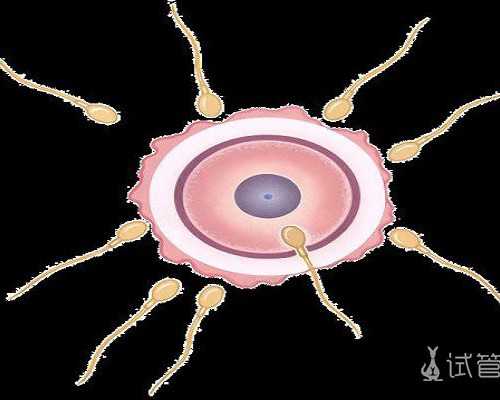 宝宝在胎停前发出的求救信号:胎动减少或消失的因及应对方法