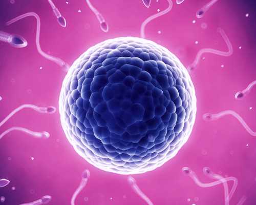 代生联系方式,孕期阴道炎发作的原因