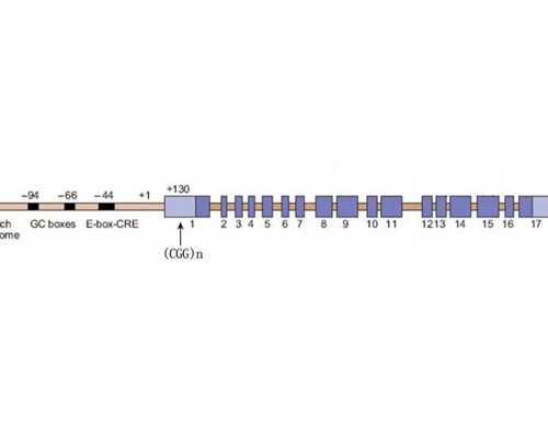 青岛找代孕公司靠谱的,青岛市中心医院和市立医院哪个三代试管婴儿技术好?