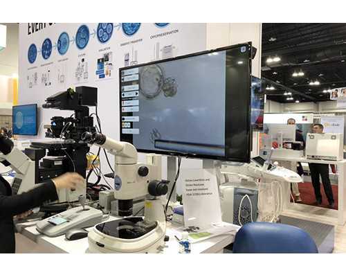 青岛想去代孕怎么办签证,【青岛供卵试管医院高龄供卵活产率】生产报喜剖腹