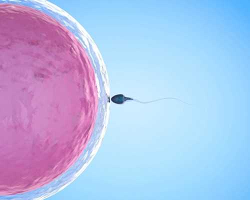 在青岛做人工授精（试管），中信湘雅生殖与遗传专科医院和中南大学湘雅医院