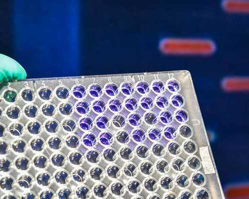 供卵代怀服务,做试管婴儿能选择性别和数量吗？