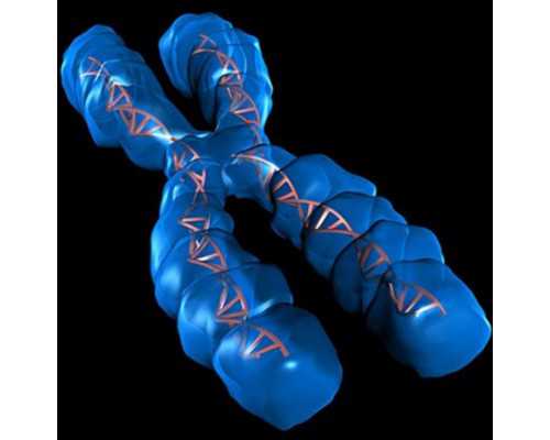 代怀代生男宝,怀孕35周之后多久产检一次