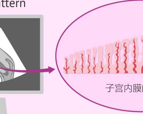 青岛代孕中心_供卵试管,2026
青岛试管婴儿医院排名,附试管婴儿成功率和费用