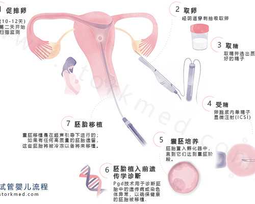助孕包男孩~一般月经后多久移植？月经后多久移植三代试管？