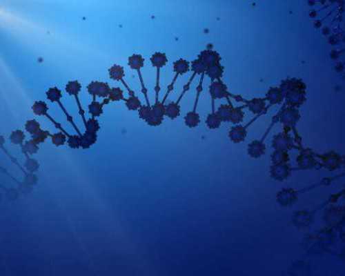 青岛找个人代孕,青岛试管婴儿供卵多少钱(供卵试管婴儿大概多少钱)