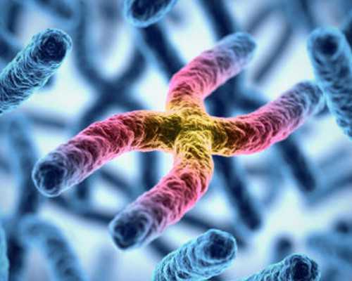 青岛供卵代孕危害,青岛儿童医院试管婴儿多少钱（机构收费4033元）