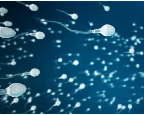 青岛去代孕需要多少钱,青岛试管婴儿供卵多少钱(供卵试管婴儿大概多少钱)