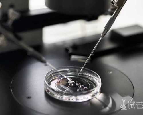 第三代试管婴儿：费用揭秘与流程详解