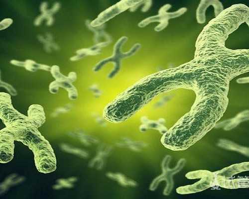 青岛找个人代孕得多少钱,试管移植后孕酮低怎么办_大理大学附属医院生殖科