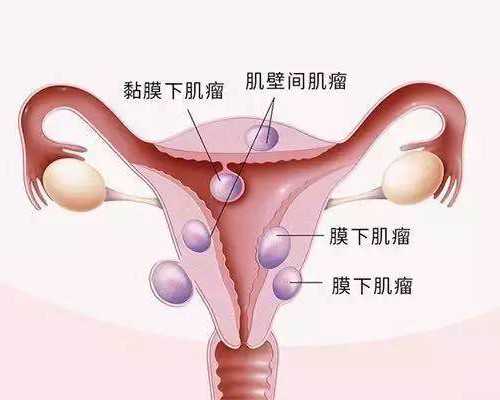 山东三代试管婴儿助孕违法吗(山东三代试管三代试管)