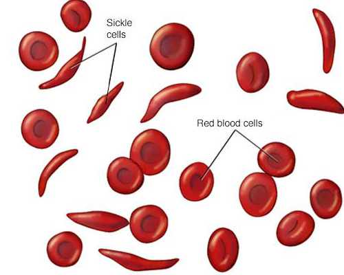 代生供卵咨询~影响试管婴儿成功率的因素有哪些呢?