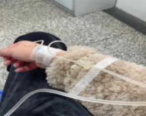 试管婴儿发展历程:从诞生到长大的历程回顾