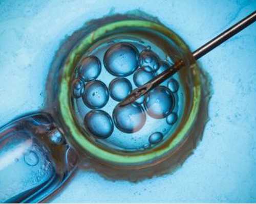 2026青岛湘雅医院试管婴儿费用多少？湘雅医院费用明细介绍