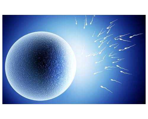 试管移植注意事项：正确活动方法揭秘