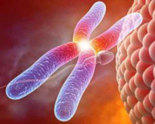 青岛代孕的详细流程,男人做试管婴儿，取卵时能不能吃排肾结石的药，和消炎