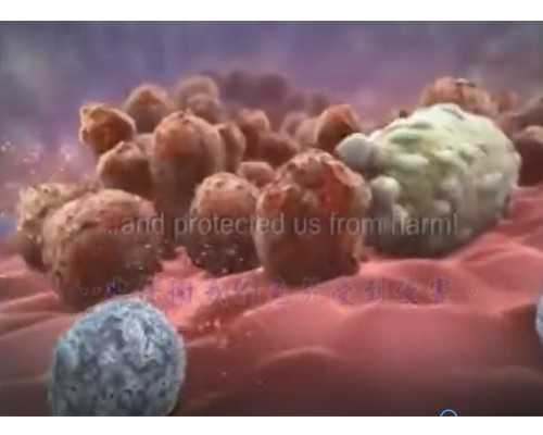 青岛地下代孕妈妈,在青岛做三代试管一次能成功吗?这几点很重要