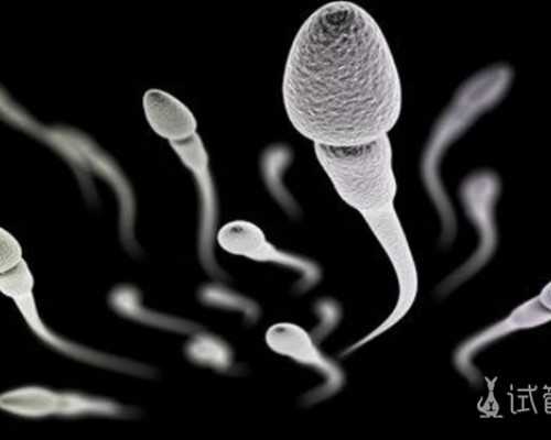 山东供卵代怀中介机构,山东助孕公司官网？山东试管婴儿医院大全？