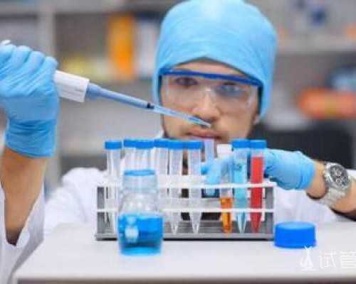 青岛代孕的人有多少,在青岛做三代试管一次能成功吗？这几点很重要