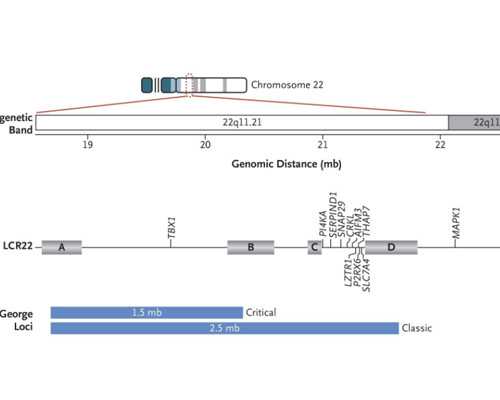 输卵管粘连手术复发风险及预防策略