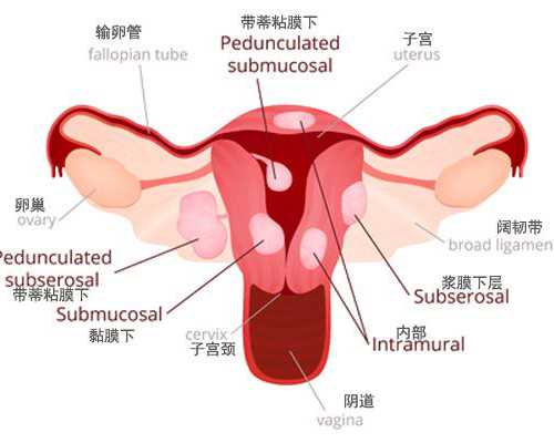代怀服务~同房后可以测卵泡吗(检测卵泡后可以同房吗)