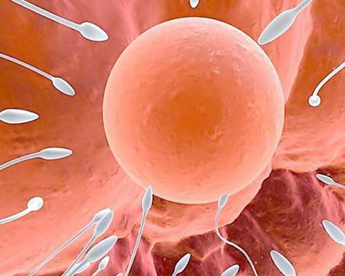 青岛乙肝携带能找代孕吗,试管婴儿移植手术后妊娠的几率_供卵中介合法吗_青岛