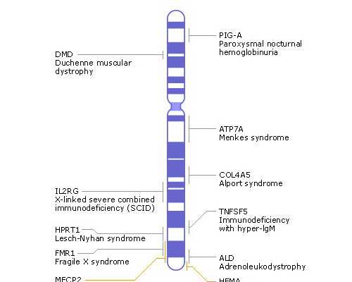 北医三院捐卵，北医三院供卵试管价格公布