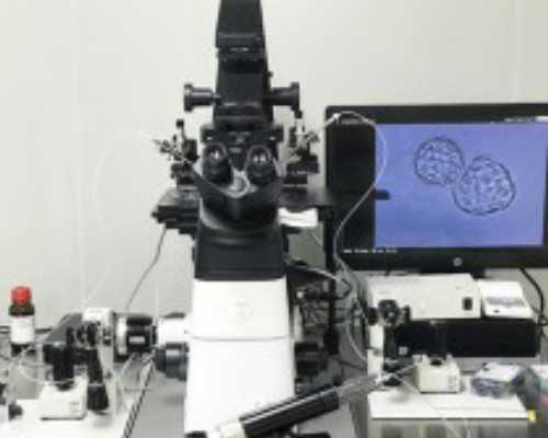 囊胚移植第二天最关键?囊胚移植第几天最关键?