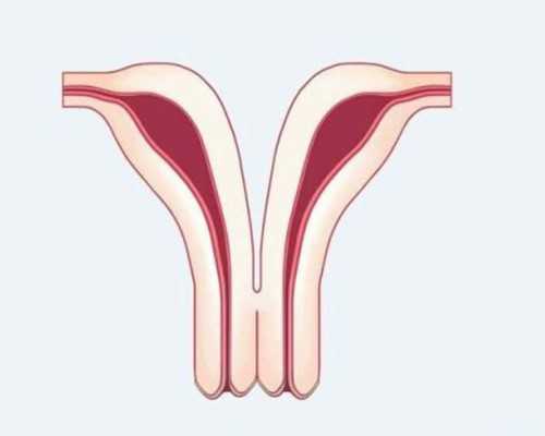 山东代怀代孕生子,山东三代试管婴儿医院(山东省第三代试管婴儿价格)