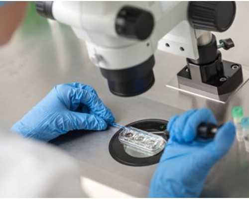 山东供卵试管要十几万吗,做山东供卵试管婴儿想成功（济南供卵山东供卵）