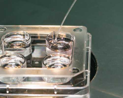 防控关口要前移，青岛医院开设“出生缺陷防控咨询门诊”