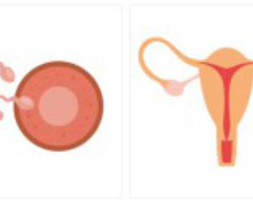 冻胚移植着床的征兆，试管移植着床成功的特征