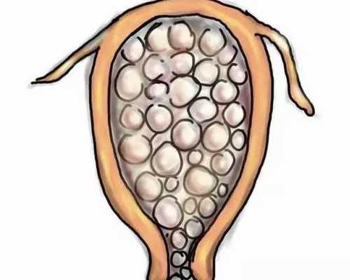 借卵做试管~试管胚胎8b质量怎么样做试管生男孩如何进行调理