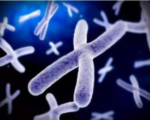 供卵代孕咨询,女性在子宫内膜薄怀孕后怎样保胎，做到这5点顺利渡过孕早期